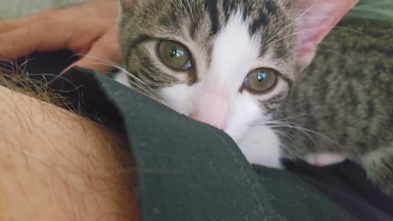 Beh-Beh still acts like he's nursing