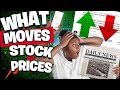 What Moves The Stock Market?