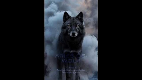 WOLF Reactive Systems: ARIES OS: WOLF