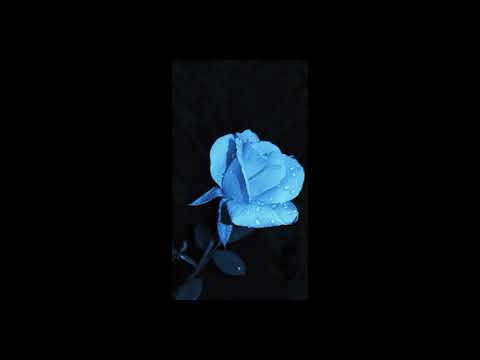 (FULL BEAT) \