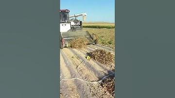 advanced machine for fast soybean harvest #shorts