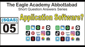 What is Application Software?