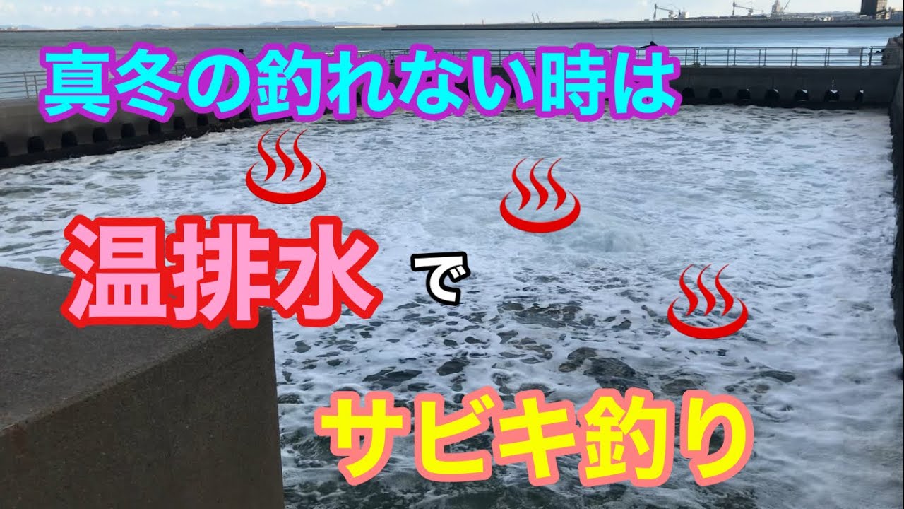 1月の温排水で釣れない時はサビキ釣り 知多半島