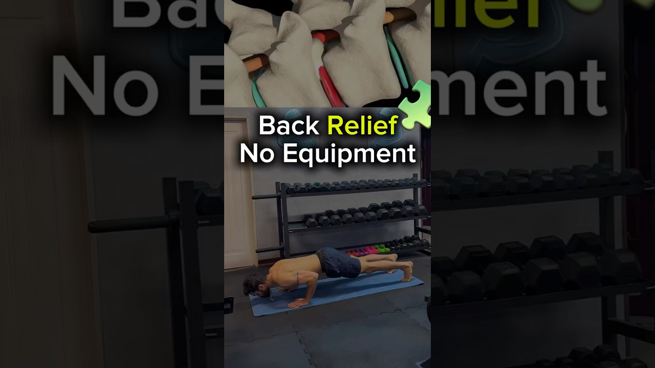 Simple No-Equipment Exercise to Reduce Back Pain & Daily Fatigue ♻️💪🏻