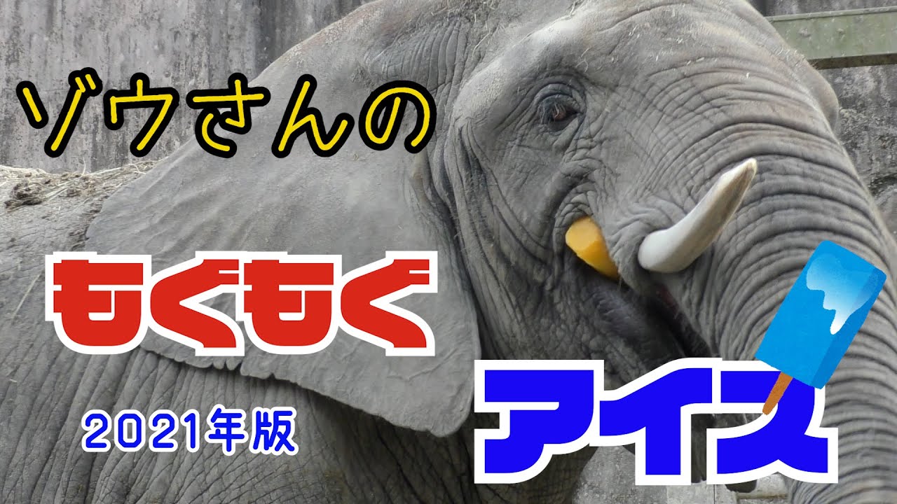 ゾウさんのもぐもぐアイス　２０２１年度版