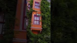 İstanbulda 1 Günde Gezilecek En Güzel Yerler