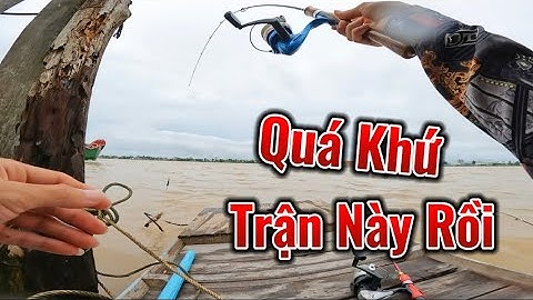 Câu Tôm Ngày Mưa Bão , Vậy Mà Toàn Tôm Càng Xanh Rút Đọt