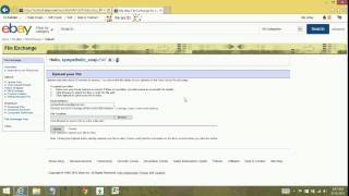 File Exchange - Why choose File Exchange