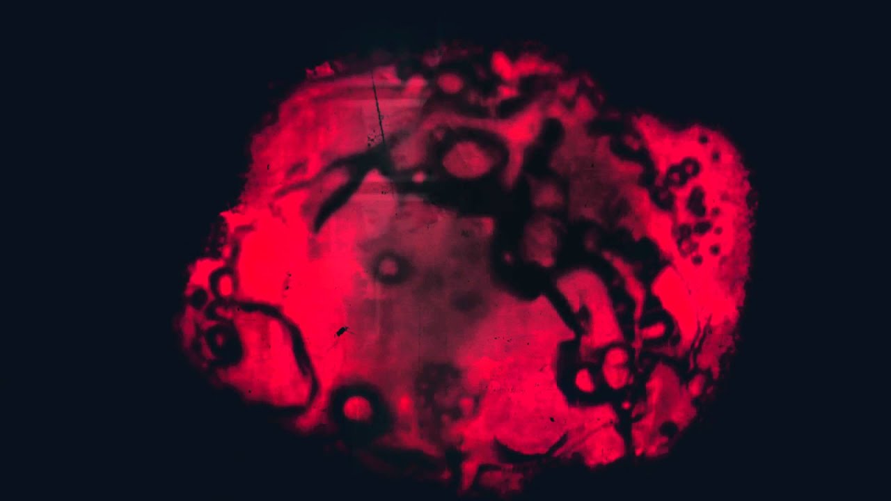 Aerials - Separate (Official)