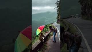 Monkey flew with umbrella when strong winds swept it across the hill station | Mysterious Land.