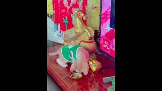 Bà quại mặc áo “ Grap “ cho cháu 😹😻😹😻