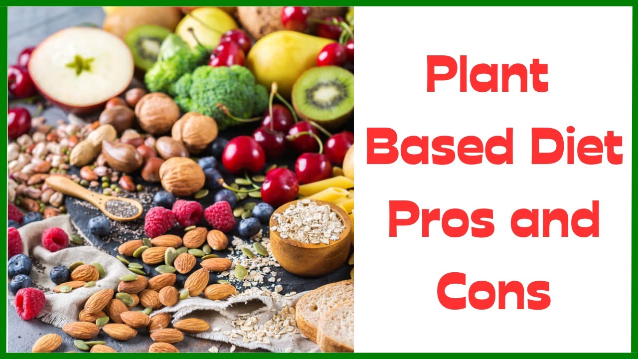 Plant based diet pros and cons - YouTube