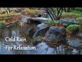 Cold Rain Falling on a Pond in a Japanese Garden