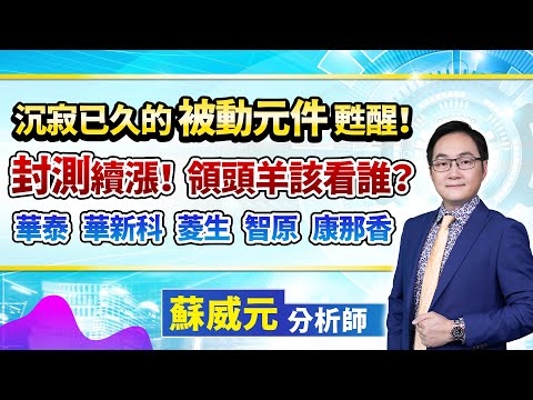 2023.11.29 蘇威元分析師【沉寂已久的被動元件甦醒！封測續漲！領頭羊該看誰？華泰 華新科 菱生 智原 康那香】#蘇威元 #股市揚威