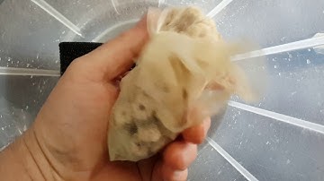 fluval flex filter mod and update