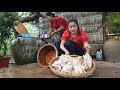 Countryside life tv chicken is good for today recipe  chicken curry  ginger stirfried chicken