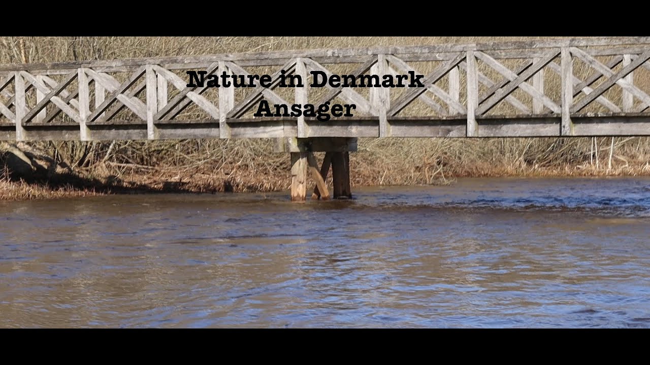 Nature in Denmark, Ansager (Cinematic video of nature)
