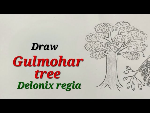 Top 52+ jamun tree drawing best