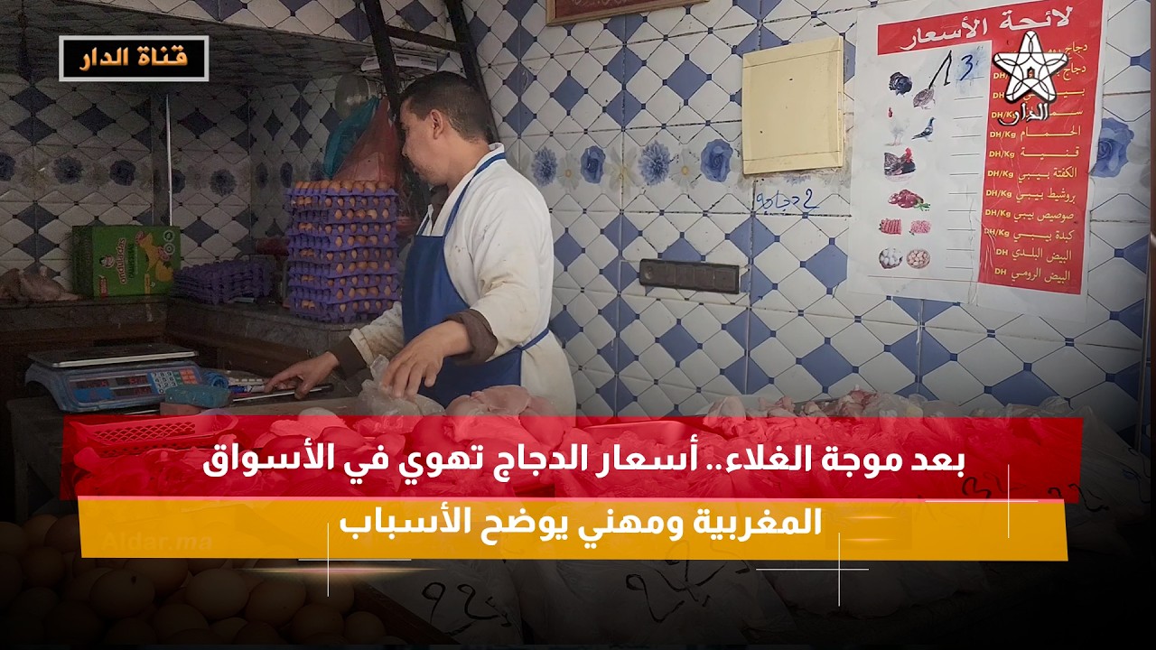 بعد موجة الغلاء.. أسعار الدجاج تهوي في الأسواق المغربية ومهني يوضح الأسباب