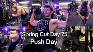 Spring Cut Day 75 - Push Day  #3weeksoutofmyfirstnaturalbodybuildingcompetition