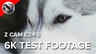 Z CAM E2-F6 6K Resolution Z-Log2 Test Footage