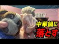 【ドッキリ】ぶたたんを中華鍋に落として炒めてみた