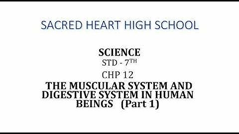 Std:7th: Science: Chp 12: The Muscular and digestive system in Human beings ( Part 1 )