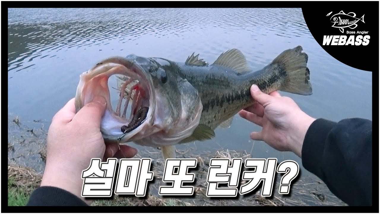 [배스낚시] 남녘의 봄 배스 만나고 왔어요. ^^ Ep.188 위배스