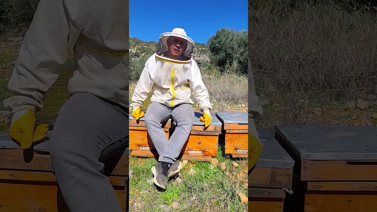 Adana-Kayseri-Sivas gezginci için en uygun arı Anadolu dedi Selahattin Usta, sizce ? #adana #bee 