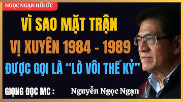 Vì sao Mặt trận Vị Xuyên 1984–1989 trở thành điểm nóng ác liệt nhất biên giới Việt – Trung?