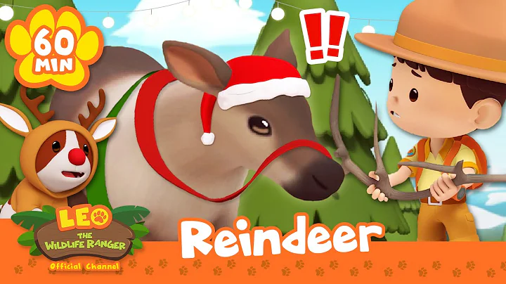 IS THAT RUDOLPH THE REINDEER? 🎅🏻🦌 | Christmas Specials | Leo the Wildlife Ranger | Kids Cartoons