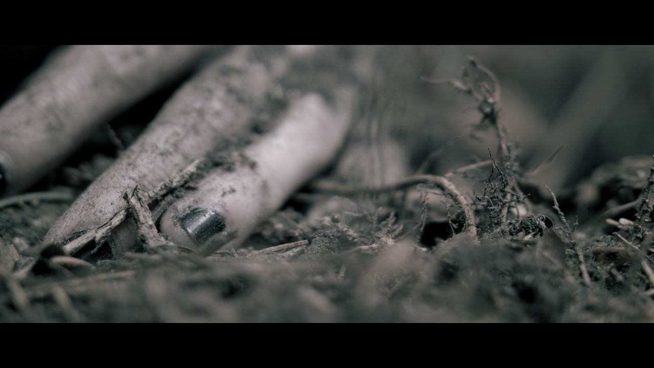 L' asymetrie du Papillon (The asymetrie of the butterfly) - Short film