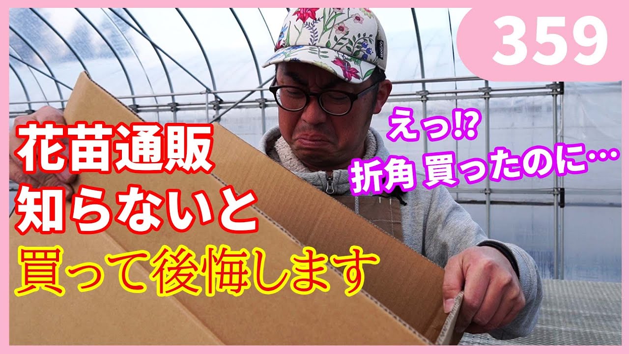 【商品確認の為購入できません】　苗 5 things to be aware of when purchasing flower seedlings from a