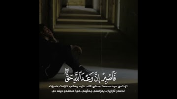 رعد محمد الکردي || حالات واتس اب سورة الروم