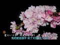 愛染桜/あさみちゆき(歌詞翻譯)