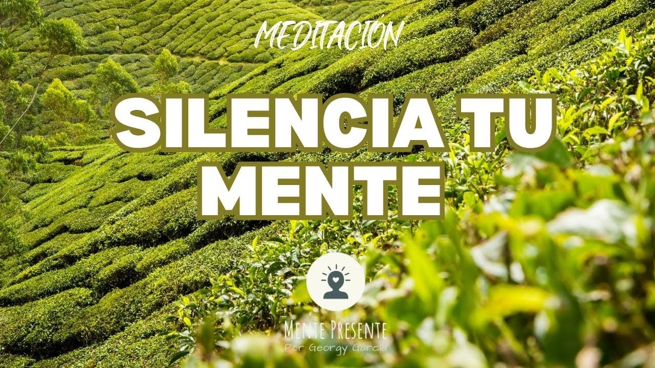 Silencia tu Mente y Encuentra Calma #meditacion #mindfulness - YouTube