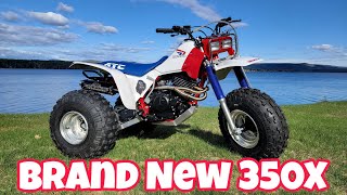 The Rust Bucket 1986 ATC 350X Is Now A Beauty Queen!!! TRANSFORMATION COMPLETE!!!