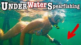 Underwater Spear Fishing Giant Grass Patches For Big Fish!!!(We Found Em!!)