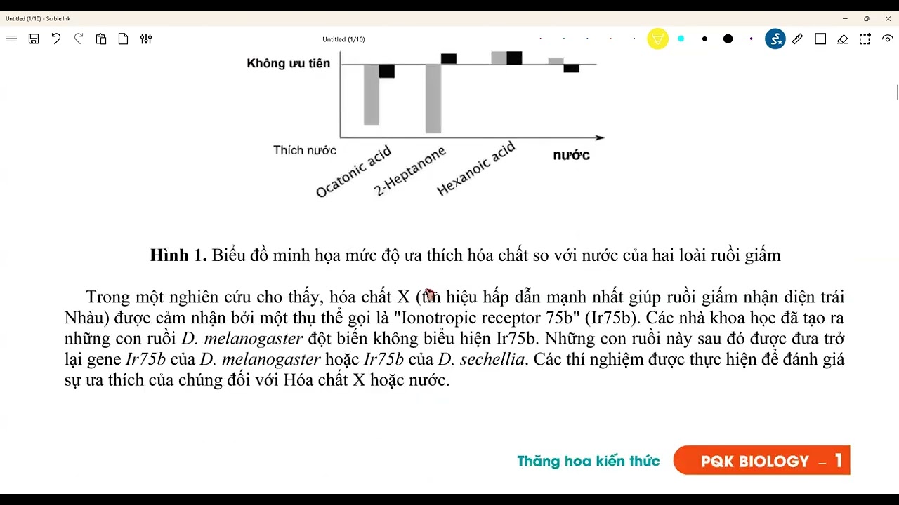 CHỮA ĐỀ THI THỬ TSA SỐ 16 KHOA HỌC ĐỌC HIỂU PHẦN SINH- THẦY KHÁNH