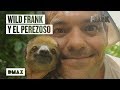 Así es el encuentro entre Wild Frank y Basilio, un perezoso brasileño