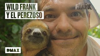 Así es el encuentro entre Wild Frank y Basilio, un perezoso brasileño | Wild Frank