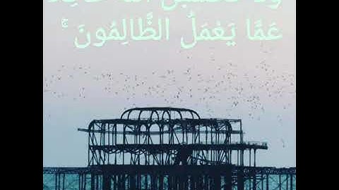 القارئ : نايف الفيصل. تلاوه من °•(سورة إبراهيم)•°