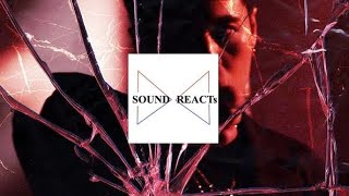 SOWUT - JOY (Official Music Video) / W.C.M Sound Reaction