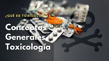 ¿Cuáles son los tres tipos de toxicología?