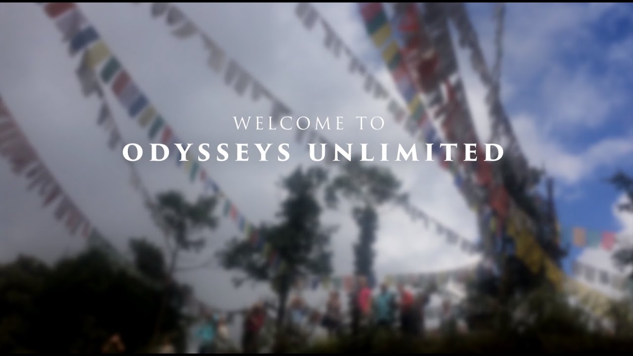 odyssey unlimited small group tours