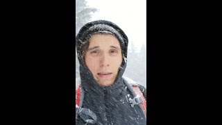 Paluten verläuft sich im Schnee.