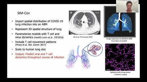 Melanie Moses - Immune Response Modeling