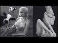 ???? You Won’t Believe Why These 100 Photos Were Hidden