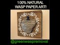WASP PAPER IS BEAUTIFUL NATURAL ART!  AVAILABLE AT THE GREEN WASP REMOVAL STORE! HORNET YELLOWJACKET