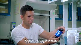 妥協を許さないHALEOのものづくり「RAPTOR 制作秘話」